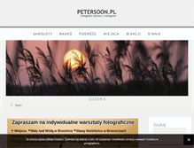 Tablet Screenshot of petersoon.pl